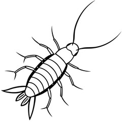 vector silhouette of a bug