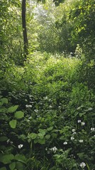 Fototapeta premium Vibrant Greenery in Lush Undergrowth of a Wild Natural Area