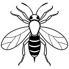 bee vector illustration
