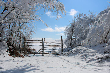 winter landscape with fence