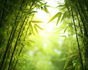A lush green forest with bamboo trees and leaves