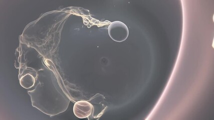 Pregnancy Stages	Fetal Development & Maternal Health Animation A serene 4K visualization of fetal growth from embryo to 40 weeks, highlighting placental structure and womb environment. 