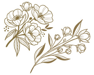 Elegant floral line art illustration featuring delicate roses and leaves. Two beautiful rose branch drawings with buds, perfect for wedding designs.