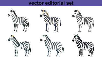 Zebra Vector Editorial Set, A vibrant set of zebra illustrations in vector format, ideal for creative and editorial design projects.
