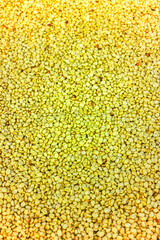 Food Series : Background of coffee beans