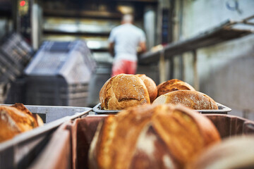 Fresh bread loaves in trays cooling in rustic bakery setting