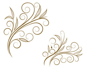 Elegant golden swirl border design with leaves on a white background.
