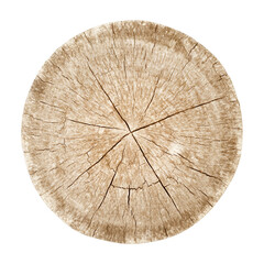 Old circle wood with cross-section isolated