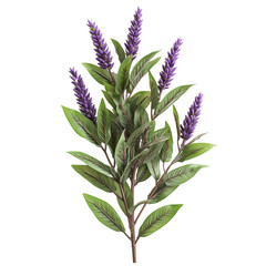 Obraz premium Elegant Purple Lavender Sprig Botanical Illustration, Floral Design Element