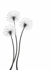 Abstract dandelion illustration