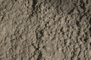 Rough cement texture background. Material wet Concrete mix stone for mixture concreting of site for car, blind area. Floor concrete. Background