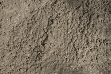Rough cement texture background. Material wet Concrete mix stone for mixture concreting of site for car, blind area. Floor concrete. Background