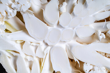 Close-up, cut of cauliflower. Vegetable food background, use for banner, design. View from above.