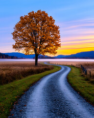 Naklejka premium Autumn path with golden tree, fog over field, and mountain view at sunrise