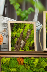 Handmade moss wall art in wooden frames