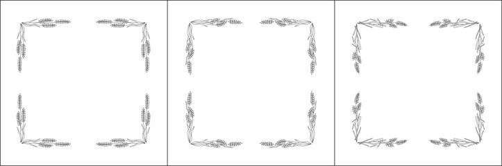Set of three elegant black and white ornamental frame with cereal spikelets, wheat ears, decorative border. Isolated vector illustration.	
