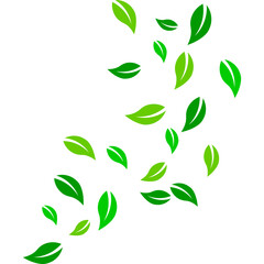 Flying Green Leaves