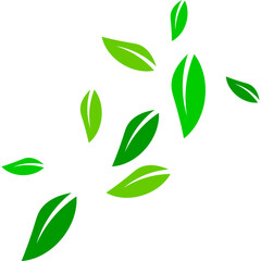 Flying Green Leaves