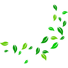 Flying Green Leaves