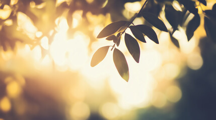 Obraz premium Golden Hour Leaves with Sunlight and Bokeh in Nature Scene