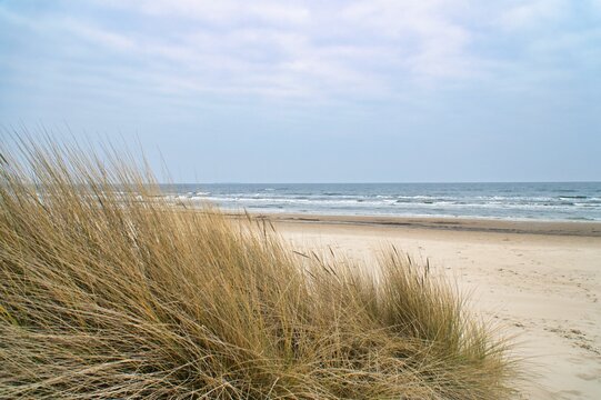 View over the dunes on the island of Usedom to the Baltic Sea. Dune grass, sand