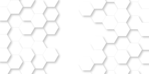Vector white hexagonal background. Luxury White Pattern. wallpaper Illustration. Futuristic abstract honeycomb mosaic white background. geometric mesh cell texture. modern futuristic wallpaper.
