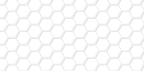 Vector white hexagonal background. Luxury White Pattern. wallpaper Illustration. Futuristic abstract honeycomb mosaic white background. geometric mesh cell texture. modern futuristic wallpaper.