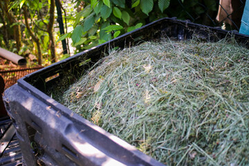 Garden waste compost bin with green mowing grass, outdoors in the garden 