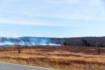 Fototapeta premium Prescribed Fire in Shenandoah National Park Near Skyline Drive – Controlled Burn in Mountain Forest Landscape