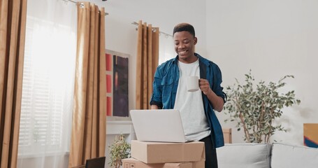 In a bright modern apartment, a smiling man looks at his laptop while standing on boxes. He enjoys...