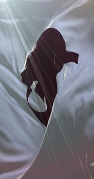 Flag of Nara Prefecture, Japan. Loop. 4K Vertical
