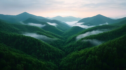 Fototapeta premium Misty Green Mountain Range at Sunrise