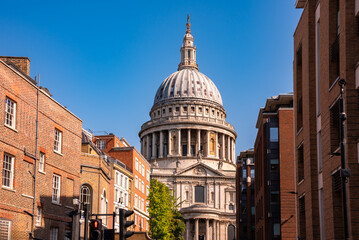 Obraz premium St.Paul's cathedral in London city, UK