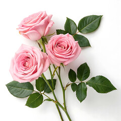 Fototapeta premium bouquet of pink roses