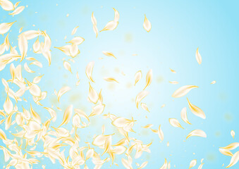 Beige Flower Fall Vector Blue Background. Light