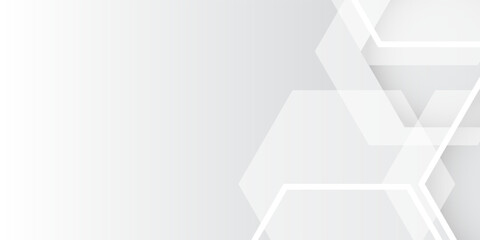 Fototapeta premium Abstract banner web white and gray geometric hexagon overlapping technology corporate concept background with space for your text. Vector illustration modern eps10