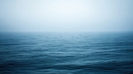 Obraz premium Misty Ocean Seascape with Birds in Flight
