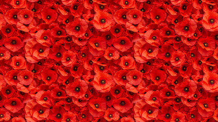 background filled with poppy flowers, borderless pattern