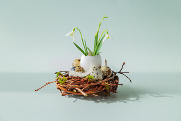 Quail eggs, feathers and snowdrops in a nest on a blue background.
