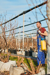 Farmer using pesticide, insecticide and herbicide sprayer sprinkler in an blueberries farm outdoors...