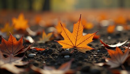 Vibrant orange autumn leaves scattered on dark soil  