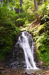 Scenic waterfall cascading down rocky cliffs in a lush green forest, creating a peaceful and refreshing natural landscape