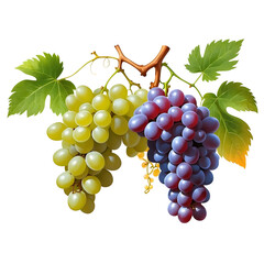 Including green and red grape leaves, the grapes appear ripe and juicy