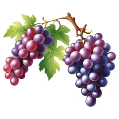 Including green and red grape leaves, the grapes appear ripe and juicy