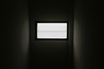 light in the darkness