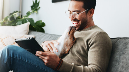 Home, dog and man with tablet, smile and relax with social media, laughing and communication....
