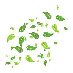Flying Green Leaves