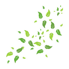 Flying Green Leaves