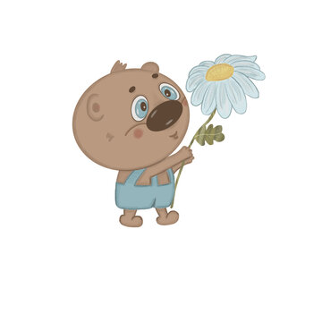 Cute little bear