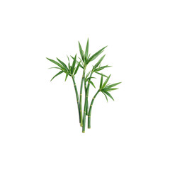 Vibrant green bamboo leaves gracefully swaying in the wind against a clean white backdrop A soothing and natural image